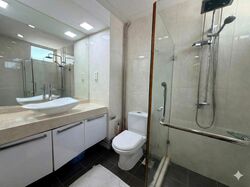 Parkshore (D15), Condominium #527436571
